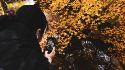 free iphone 12 government phone