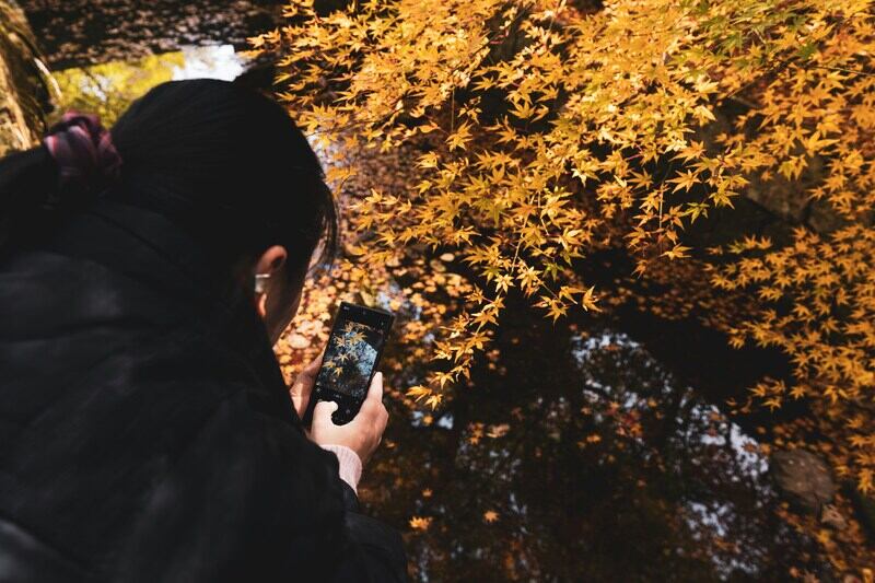 how to unlock iphone 5 for free