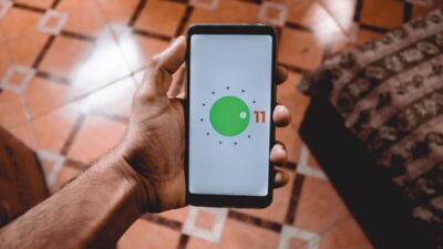 Which company gives you the best free government phone