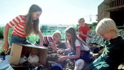 free pet insurance for low income families