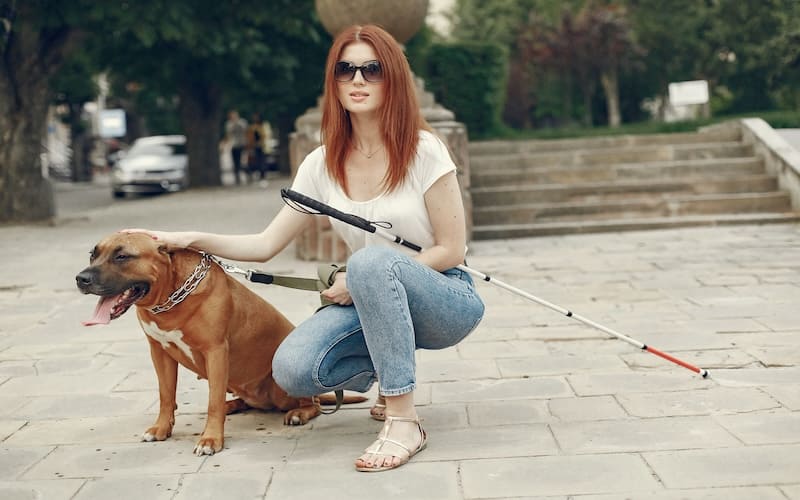 does medicaid cover service dogs 2